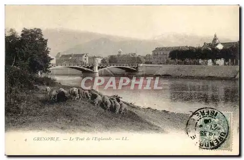 Grenoble Ansichtskarte AK Le pont de l&#39esplanade (moutons)