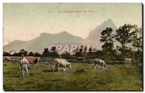 Ansichtskarte AK Un paturage dans les Alpes