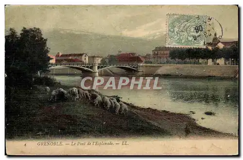 Grenoble Ansichtskarte AK Le pont de l&#39esplanade (moutons)