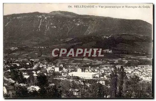 Bellegarde Ansichtskarte AK Ve panoramique et montagne du Credo