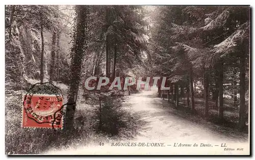 Bagnoles de l'orne Cartes postales L'avenue du Dante