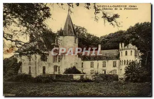 Le Pin la Garenne Cartes postales Chateau de la Pellonniere