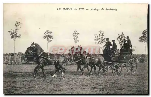 Le Haras du Pin Ansichtskarte AK Attelage de demi sang (chevaux cheval horse)