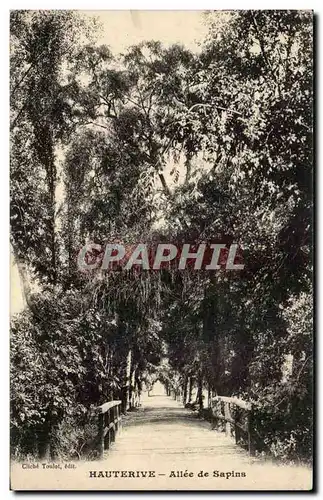 Hauterive Cartes postales Allee des sapins