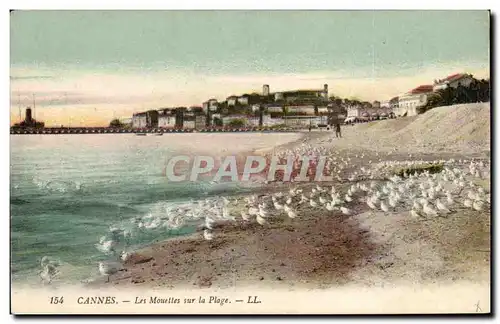 Cannes - Les Mouettes sur la Plage - Cartes postales