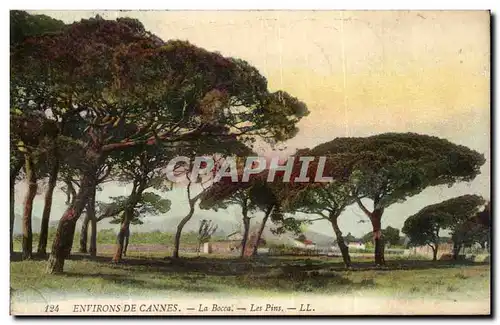 Environs de Cannes - La Bocca - Les Pins Cartes postales