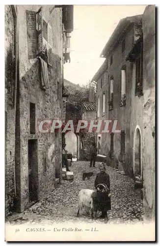 Cagnes - Une Vieille Rue - chien et chevre bouc (goat) - Ansichtskarte AK