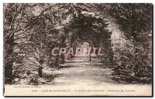 Ile St Honorat - L&#39Allee des Cypres - Abbaye de Lerins - Cartes postales