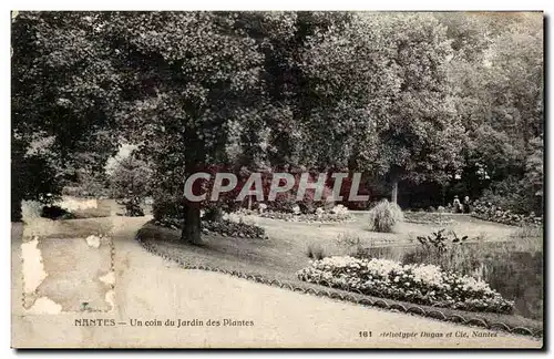 Nantes Ansichtskarte AK Un coin du jardin des plantes