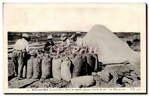 Batz sur mer Cartes postales Dans le marais salants recolte de sel La mise en sac