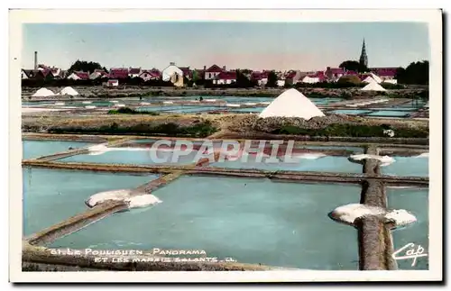 Le Pouliguen Cartes postales Panorama et les marais salants