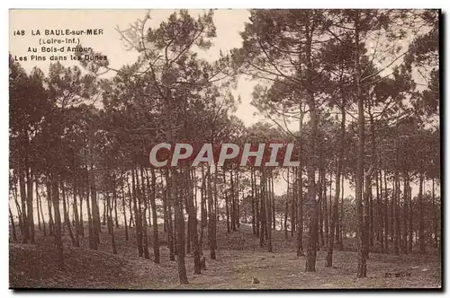 La Baule Ansichtskarte AK Au bois d&#39amour Les pins dans les dunes