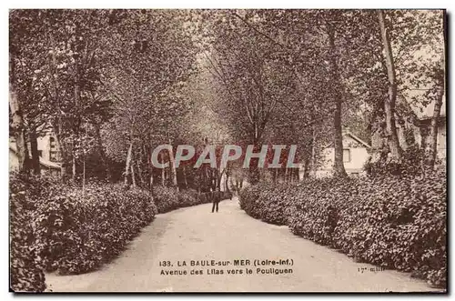 La Baule Cartes postales Avenue des Lilas vers le Pouliguen