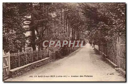 La Baule Ansichtskarte AK Avenue des platanes