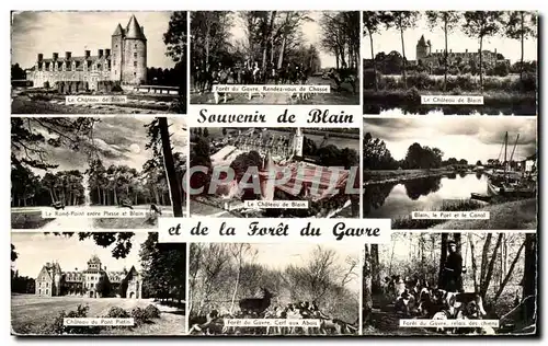 Cartes postales moderne Souvenir de Blain et d ela foret du Gavre