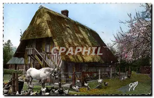 Cartes postales Normandie Toute la ferme (cheval horse)