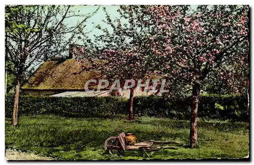 La Normandie pittoresque Cartes postales moderne Sous les pommiers
