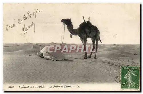 Algerie Ansichtskarte AK Scenes et types La priere du desert (chameau camel)