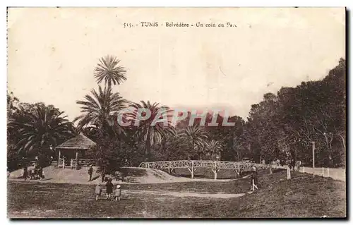 Tunisie Ansichtskarte AK Tunis Belvedere un coin du parc