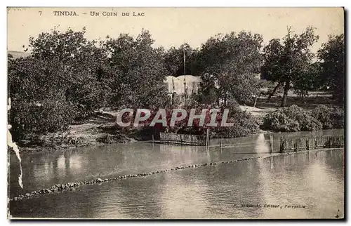 Tunisie Cartes postales Tindja Un coin du parc