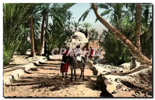 Tunisie Moderne Karte Scenes et types Chemin dans la palmeraie (ane donkey)