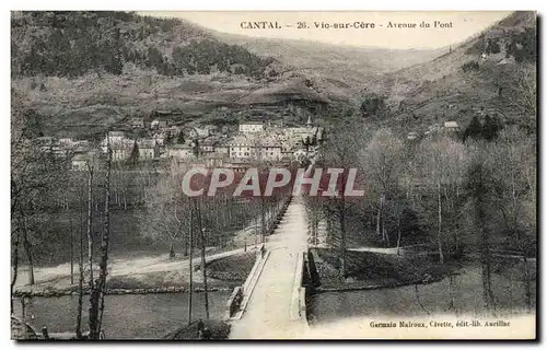Auvergne Cantal Ansichtskarte AK Vic sur Cere Avenue du pont
