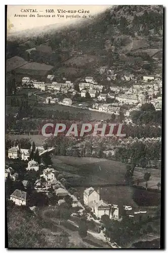 Auvergne Cantal Ansichtskarte AK Vic sur Cere Avenue des sources et vue parteille du Vic