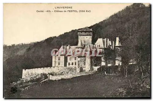 Auvergne Cantal Cartes postales Chateau de Pestel (cote Est)