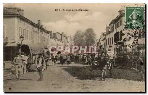 Dax Cartes postales Avenue de la Chalosse (ane donkey) TOP