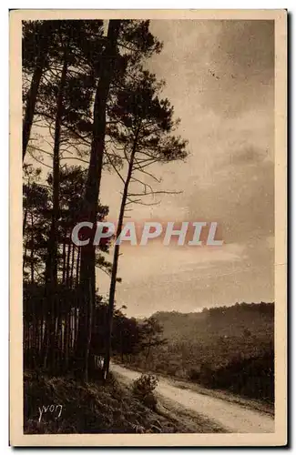 Les Landes de GAscogne Ansichtskarte AK Lever de soleil en foret