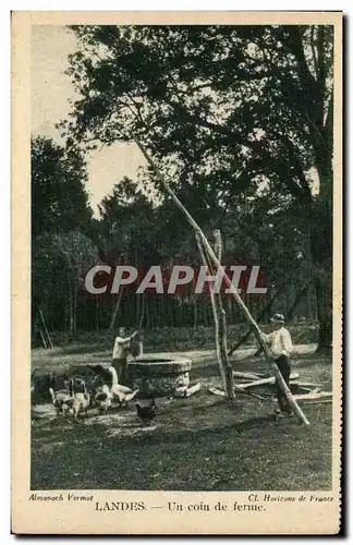 Les Landes de GAscogne Cartes postales Un coin de ferme