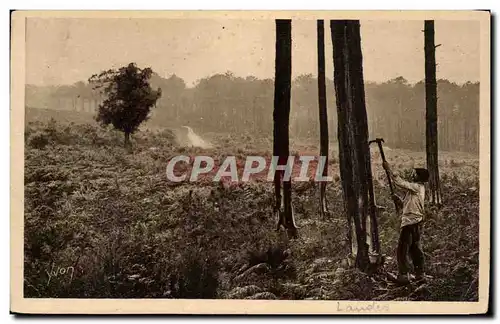 Cartes postales Les Landes de Gascogne Le resinier au travail (metier)