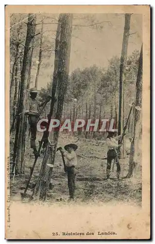 Cartes postales Resiniers dans les Landes (metiers)