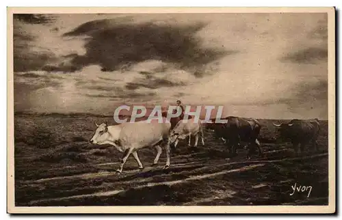 Ansichtskarte AK Les Landes de Gascogne En rase lande Le retour