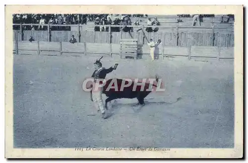 Cartes postales La course landaise Un ecart de Giovanni (taureau toro) Mont de marsan