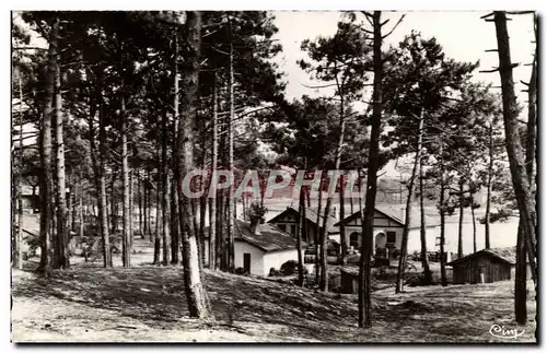 Mimizan les Bains Cartes postales moderne Parc d'hiver