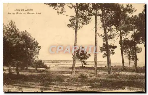 Les Landes de Gascogne Ansichtskarte AK Sur les bords des grands lacs