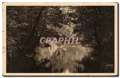 Cartes postales Les Landes de Gascogne Les frais ombrages du courant d&#39Huchet