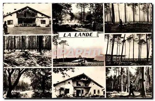 Cartes postales moderne La lande