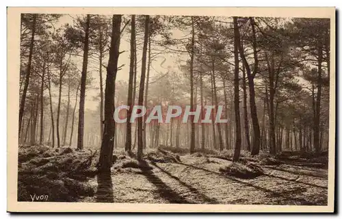 Cartes postales Les Landes de Gascogne Dernier soleil d'ete premiere brume d'automne