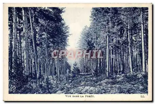 Cartes postales Landes Vue dans la foret