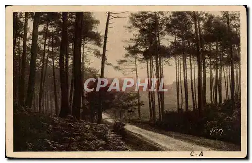 Cartes postales Landes de Gascogne Route de Leon a Moliets