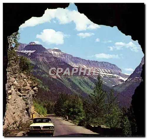 Etats Unis Cartes postales moderne Glacier National park Montana (ours bear)