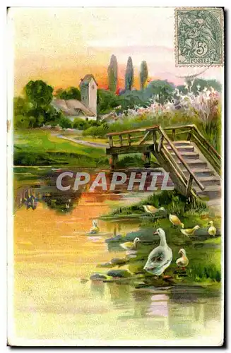 Cartes postales Fantaisie Canard Canards Duck Ducks