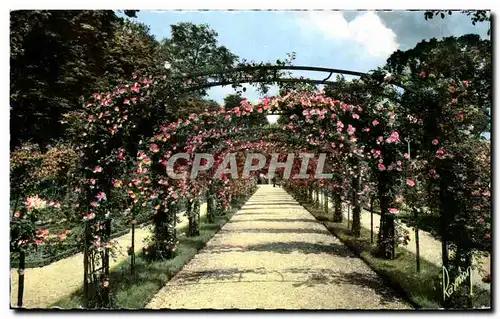 Cartes postales moderne La roseraie de l&#39hay les Roses