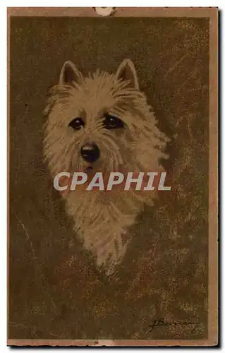 Cartes postales Fantaisie Animaux Chiens Dogs Dog