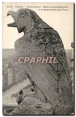 Paris Cartes postales Notre dame Betes d&#39amortissement a la balustrade des tours