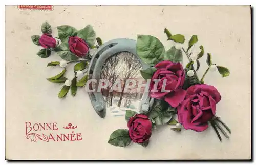 Cartes postales Fantaisie Bonne annee Rose Fer a cheval