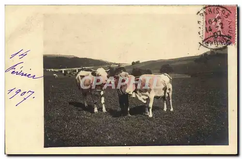 Ansichtskarte AK CARTE PHOTO Vaches Elevage