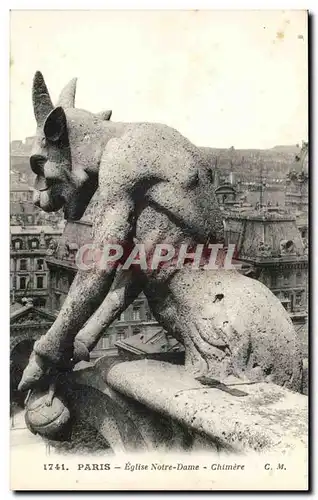 Paris Ansichtskarte AK Notre Dame Eglise Gargouille Chimere